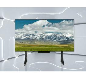 EZShow LED Giant Monitor